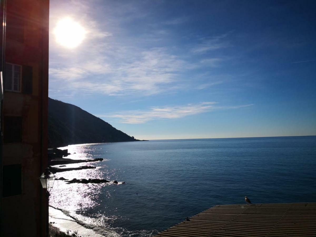 Le Finestre Sul Mare Lejlighed Camogli Eksteriør billede