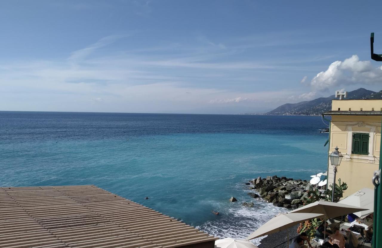 Le Finestre Sul Mare Lejlighed Camogli Eksteriør billede